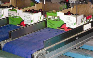 Пакетираща индустрия