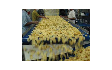 Транспортни ленти за селскостопанска продукция