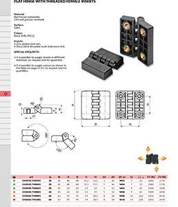 FLAT HINGE WITH THREADED FEMALE INSERTS