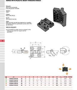 HINGE WITH PLASTIC RIGHT THROUGH HOLES